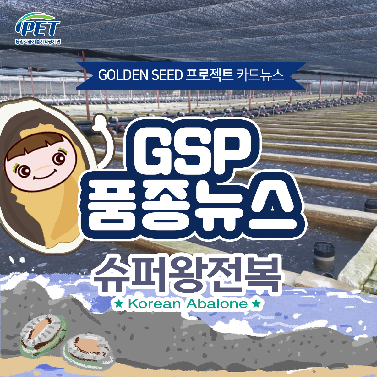 GSP 품종뉴스 슈퍼왕전복 1.jpg