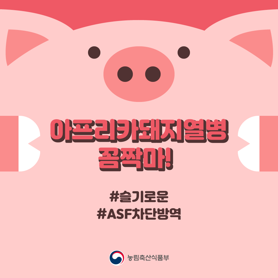 슬기로운 ASF 차단방역 슬기로운ASF차단방역_카드뉴스1.png