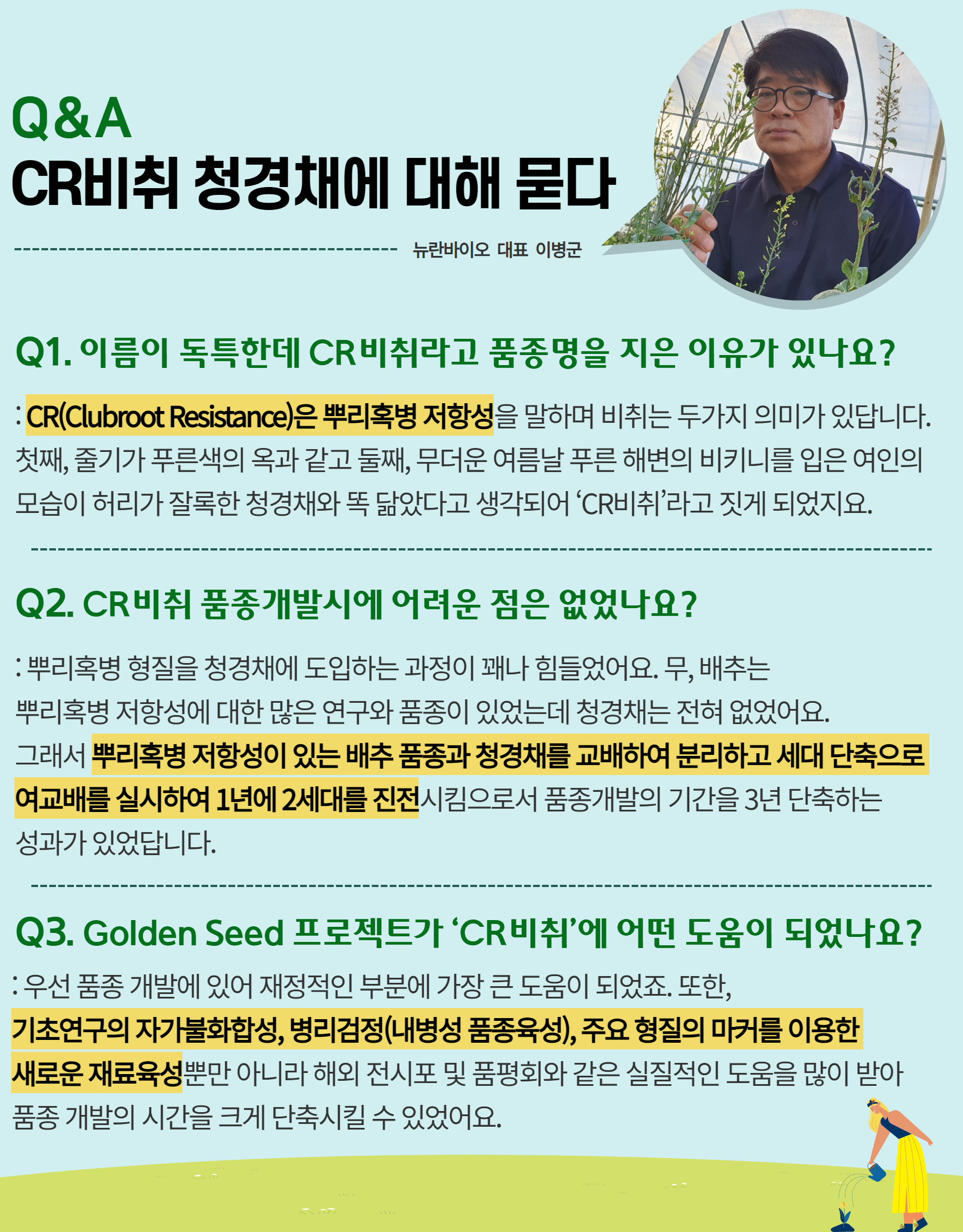 청경채 CR비취(CR Bechi) 5.png