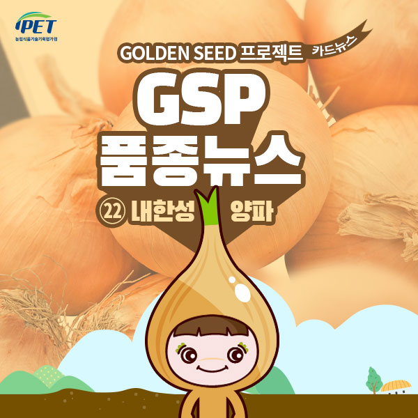 GSP 품종뉴스 - 내한성 양파 1.jpg