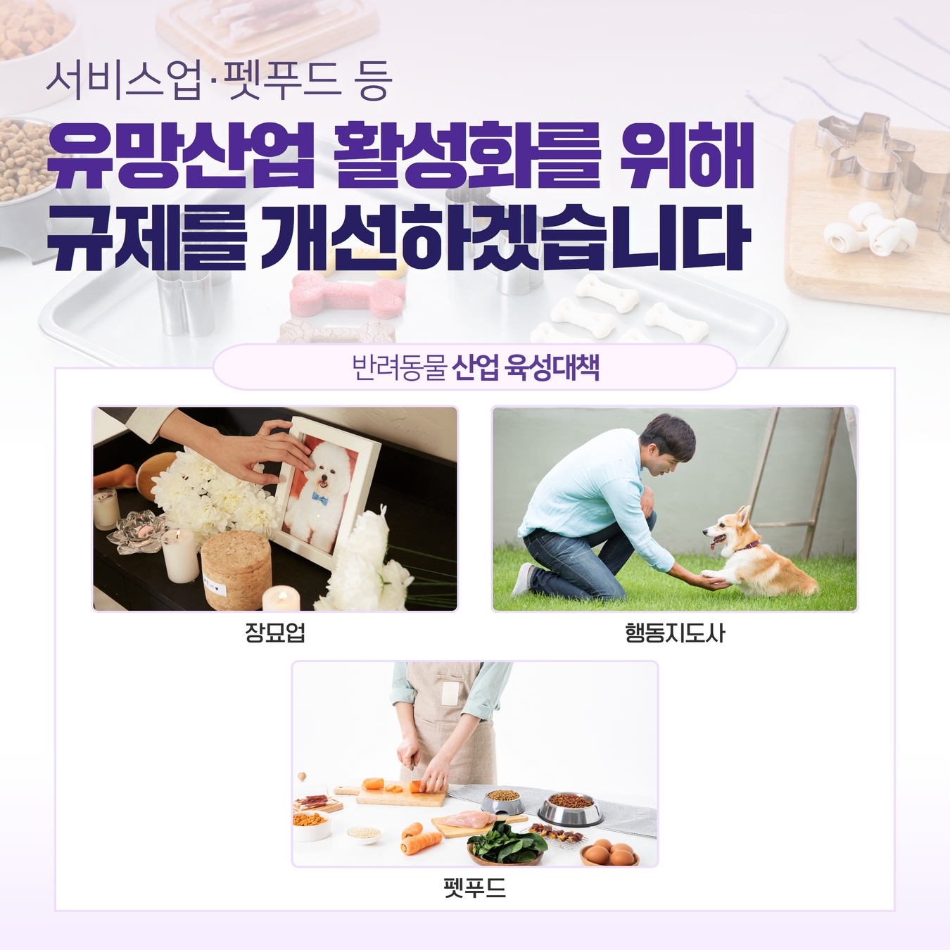 반려동물 생명 보장과 동물보호 문화를 확산시키겠습니다. 반려동물 생명 보장과 동물보호 문화 확산 5.jpg