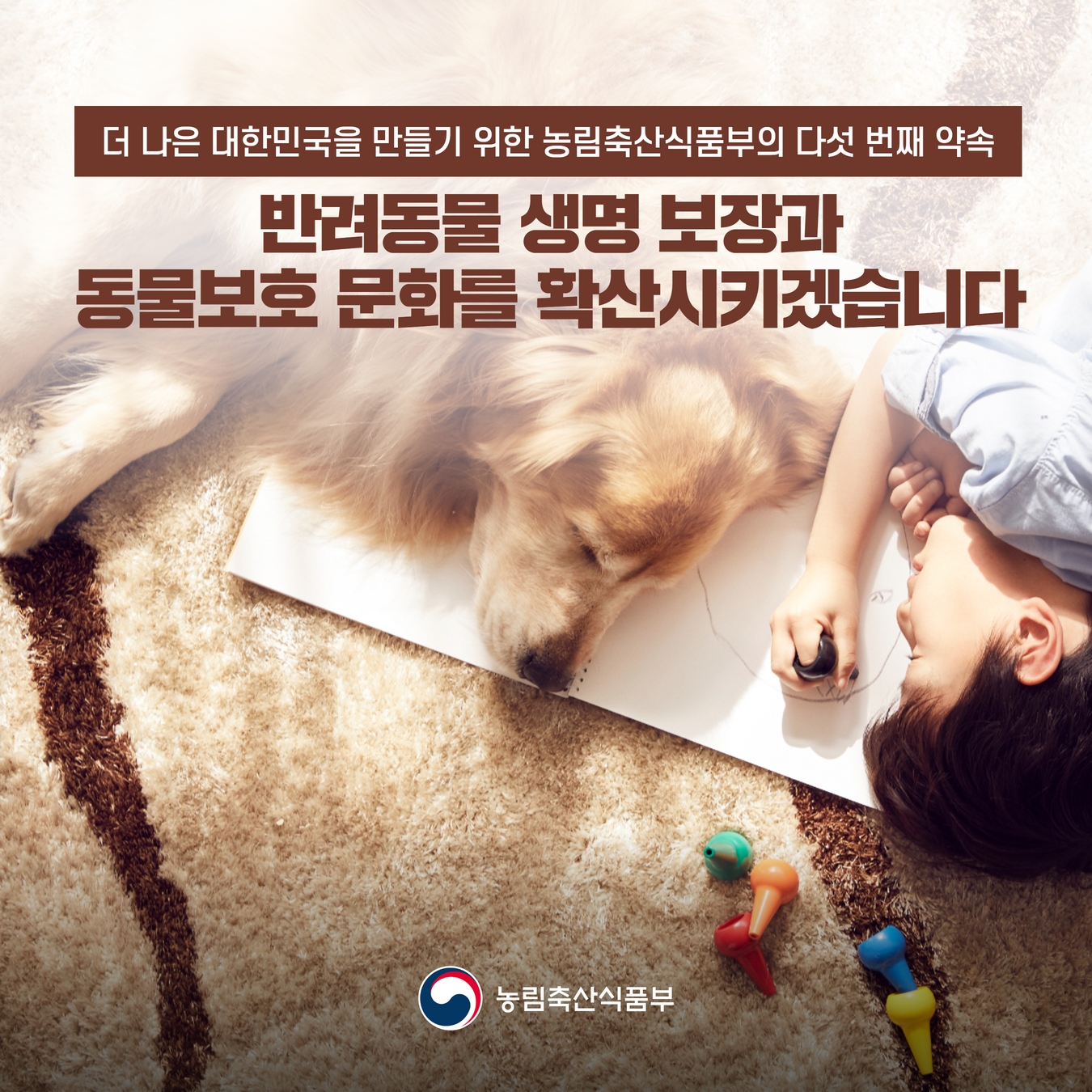 반려동물 생명 보장과 동물보호 문화를 확산시키겠습니다. 반려동물 생명 보장과 동물보호 문화 확산 1.jpg