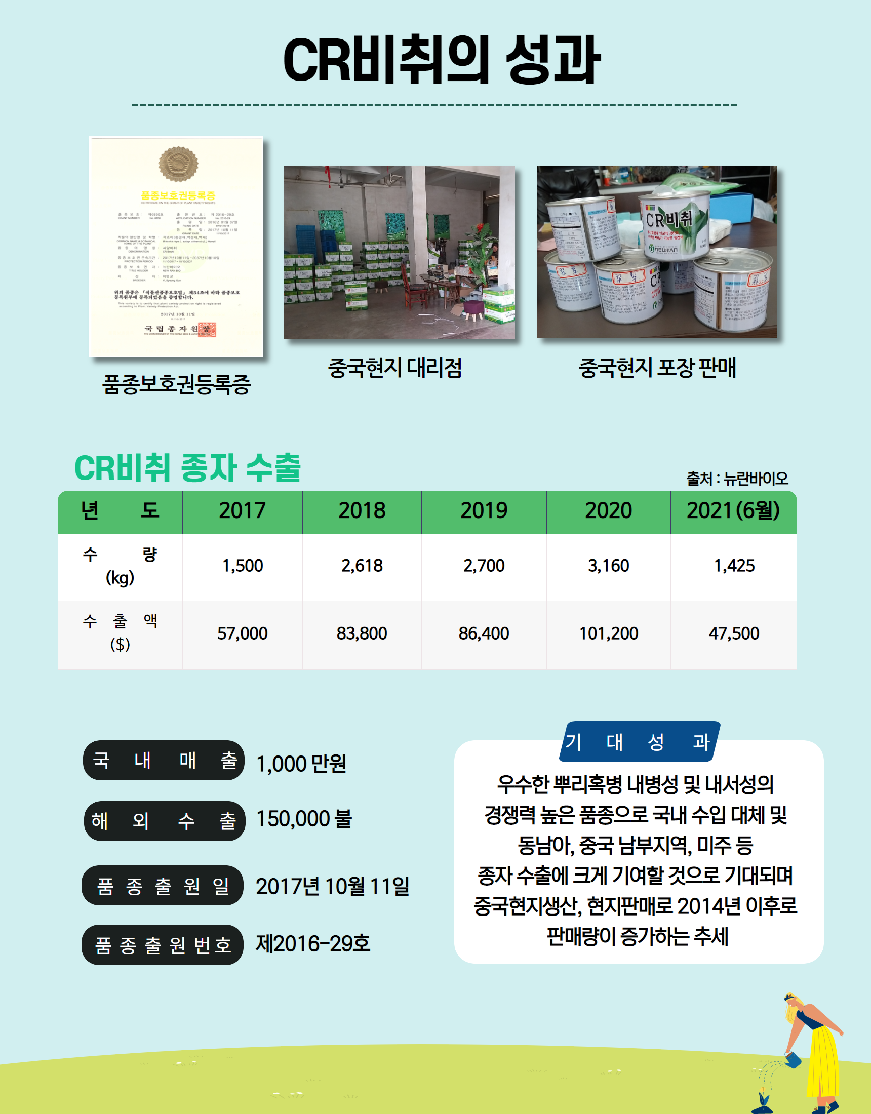 청경채 CR비취(CR Bechi) 4.png