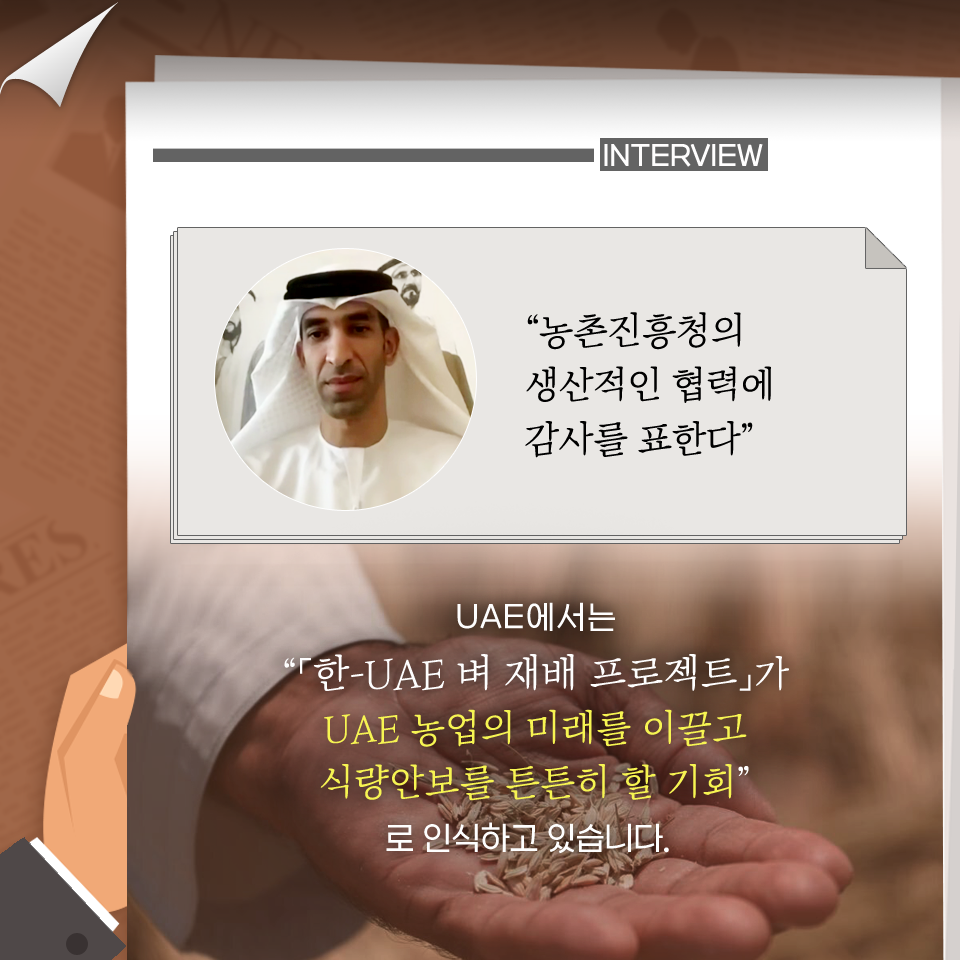 한-UAE 벼 재배 프로젝트 획기적인 성과 거두다 c0609-6.png