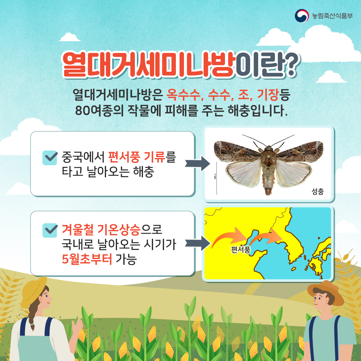 열대거세미나방 발생시 신속한 방제를 실시하여 피해를 예방합시다! 농식품부_카드뉴스_열대거세미나방_02_200416.jpg