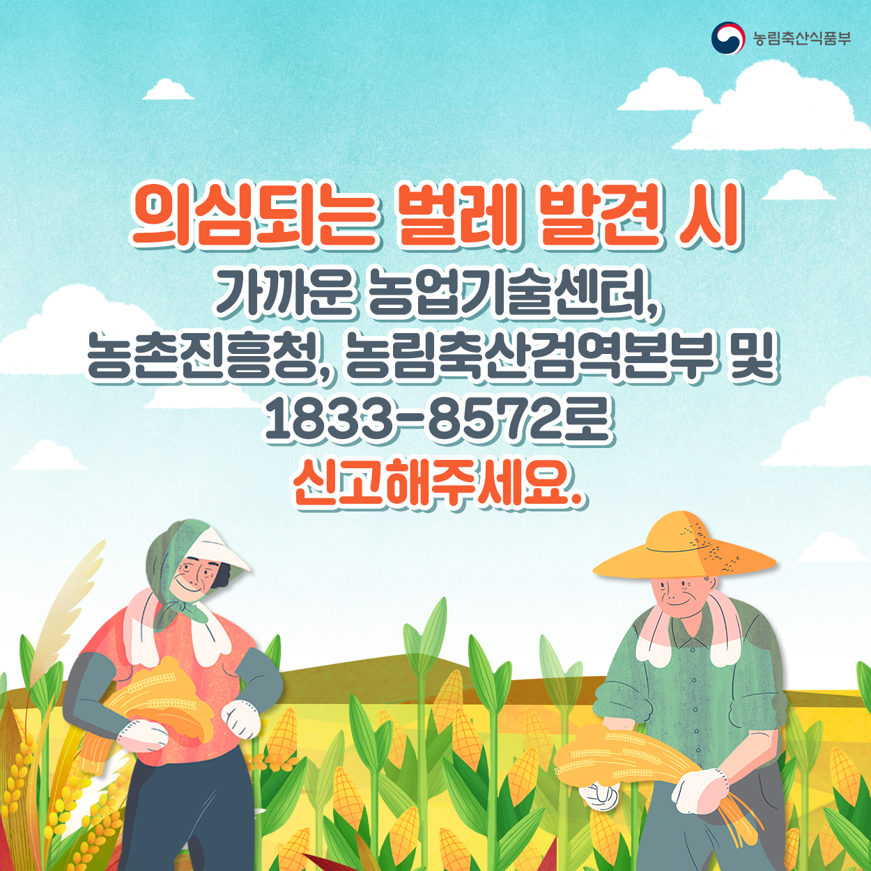 열대거세미나방 발생시 신속한 방제를 실시하여 피해를 예방합시다! 농식품부_카드뉴스_열대거세미나방_06_200416.jpg