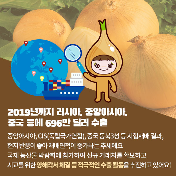 GSP 품종뉴스 - 내한성 양파 5.jpg