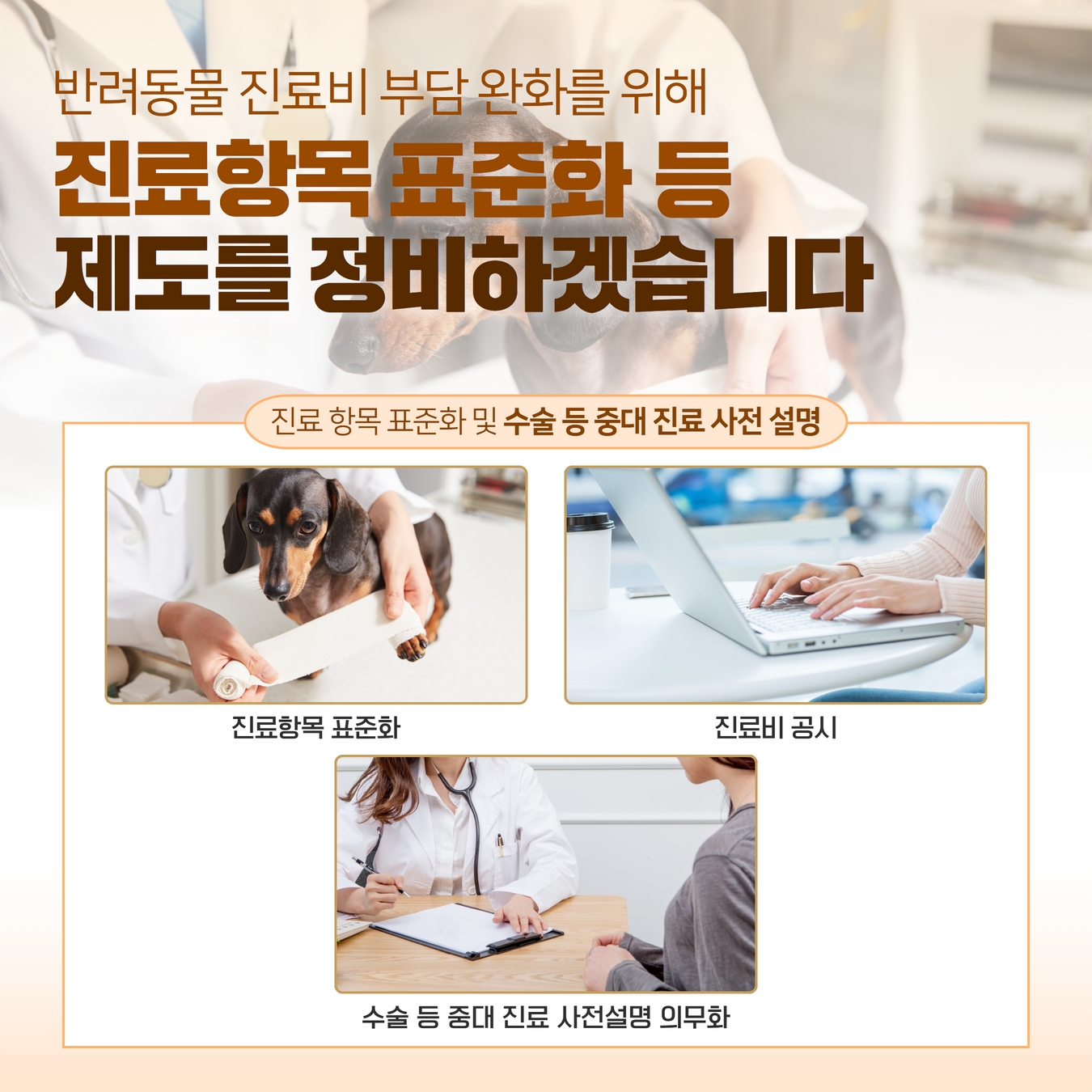 반려동물 생명 보장과 동물보호 문화를 확산시키겠습니다. 반려동물 생명 보장과 동물보호 문화 확산 4.jpg