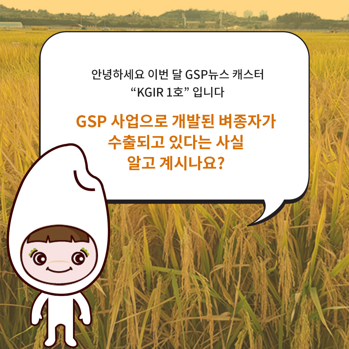 GSP 사업을 통한 벼 종자 개발(KGIR 1호) 2.jpg