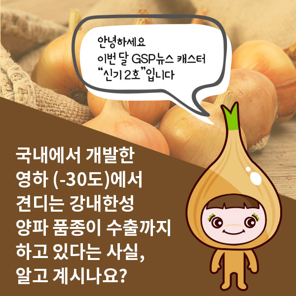 GSP 품종뉴스 - 내한성 양파 2.jpg