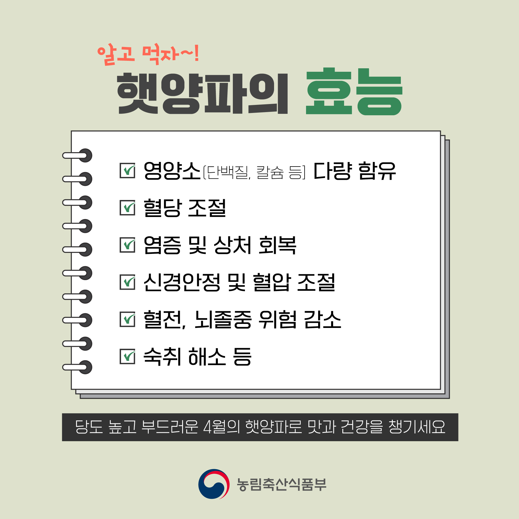 영양가득 햇양파 - 햇양파란? 3.jpg