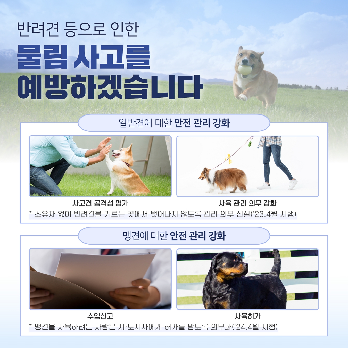 반려동물 생명 보장과 동물보호 문화를 확산시키겠습니다. 반려동물 생명 보장과 동물보호 문화 확산 3.jpg