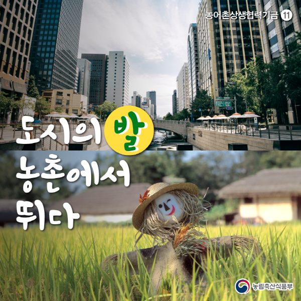 [카드뉴스]농어촌 상생협력기금 - 도시의 발 농촌에서 뛰다 img11.png