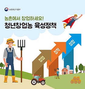 카드뉴스