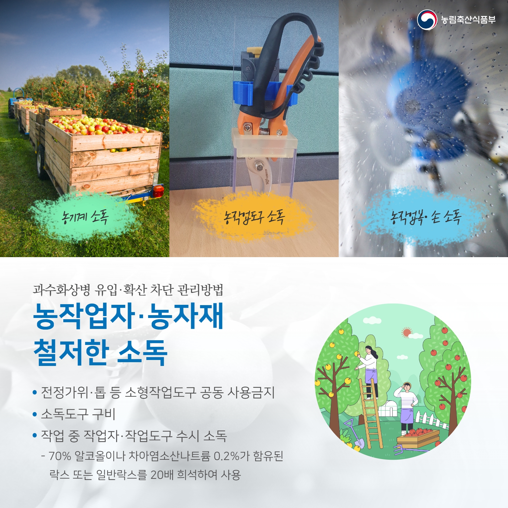  농림축산식품부 농기계 소독 농작업도구 소독 농작업복● 손소독 과수화상병 유입·확산 차단 관리방법 농작업자·농자재 철저한 소독 • 전정가위·톱 등 소형작업도구 공동 사용금지 ·소독도구 구비 • 작업 중 작업자·작업도구 수시 소독 - 70% 알코올이나 차아염소산나트륨 0.2%가 함유된 락스 또는 일반락스를 20배 희석하여 사용