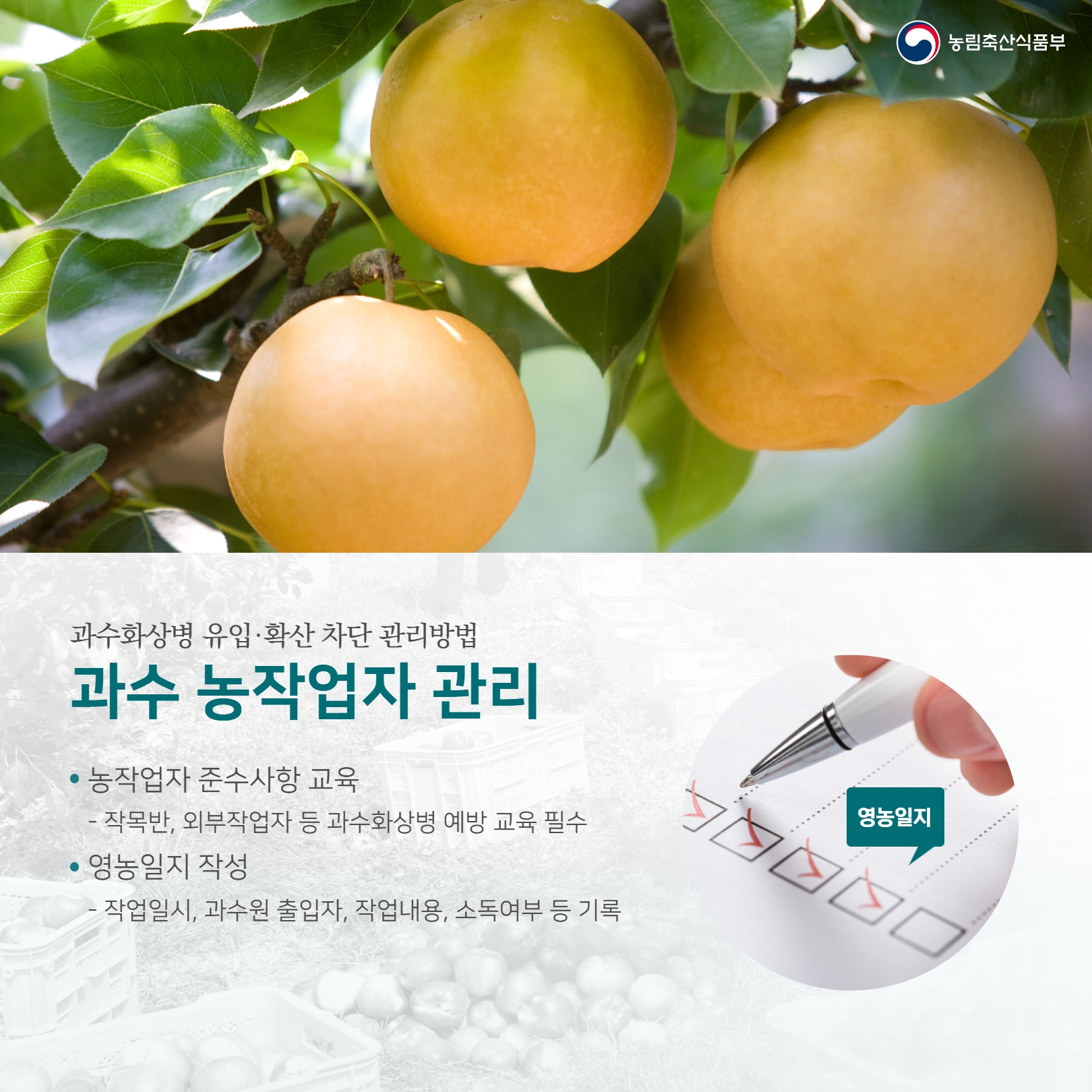  과수화상병 유입·확산 차단 관리방법 과수 농작업자 관리 농작업자 준수사항 교육 작목반, 외부작업자 등 과수화상병 예방 교육 필수 영농일지 작성 작업일시, 과수원 출입자, 작업내용, 소독여부 등 기록 ........... 영농일지 농림축산식품부