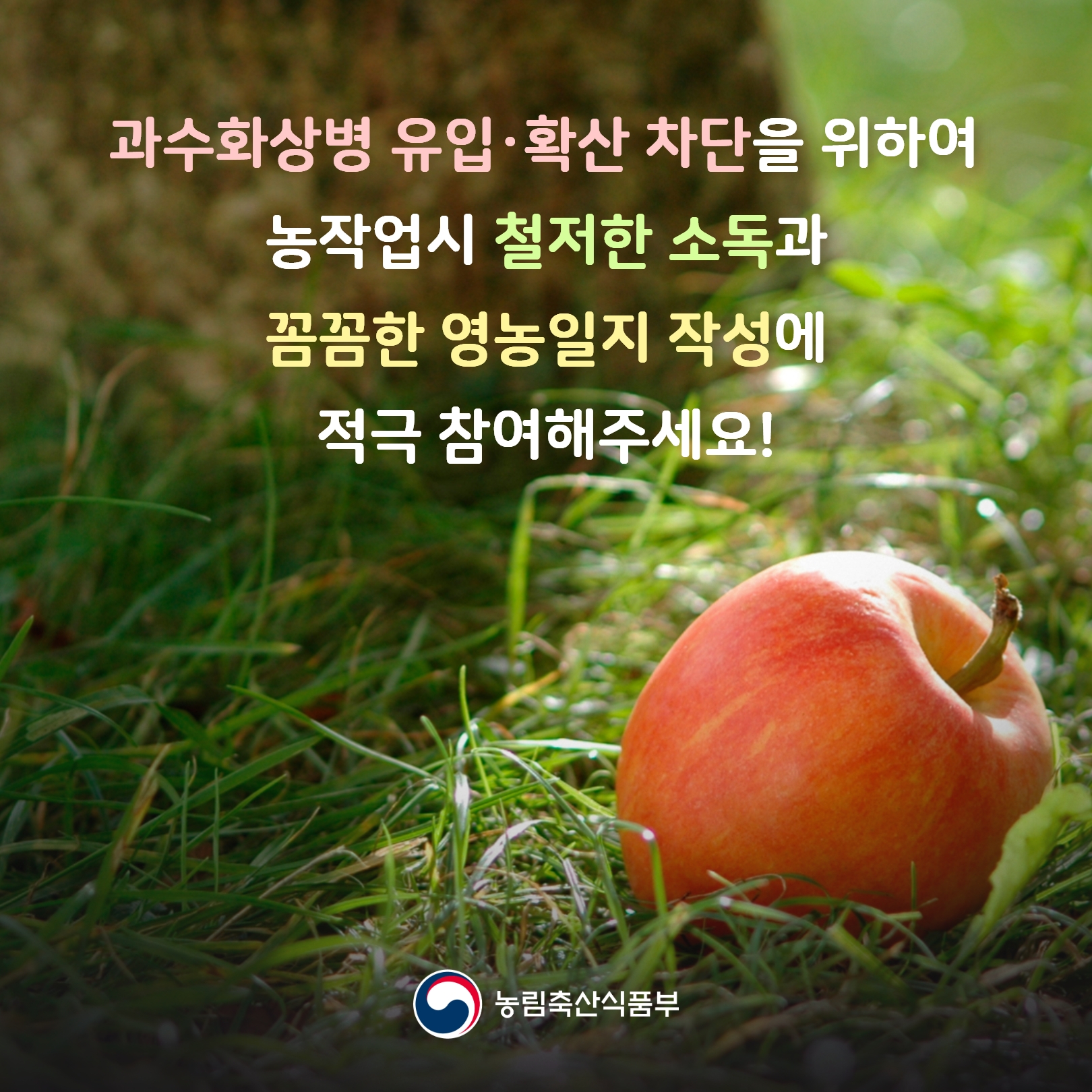  과수화상병 유입·확산 차단을 위하여 농작업시 철저한 소독과 꼼꼼한 영농일지 작성에 적극 참여해주세요! 농림축산식품부