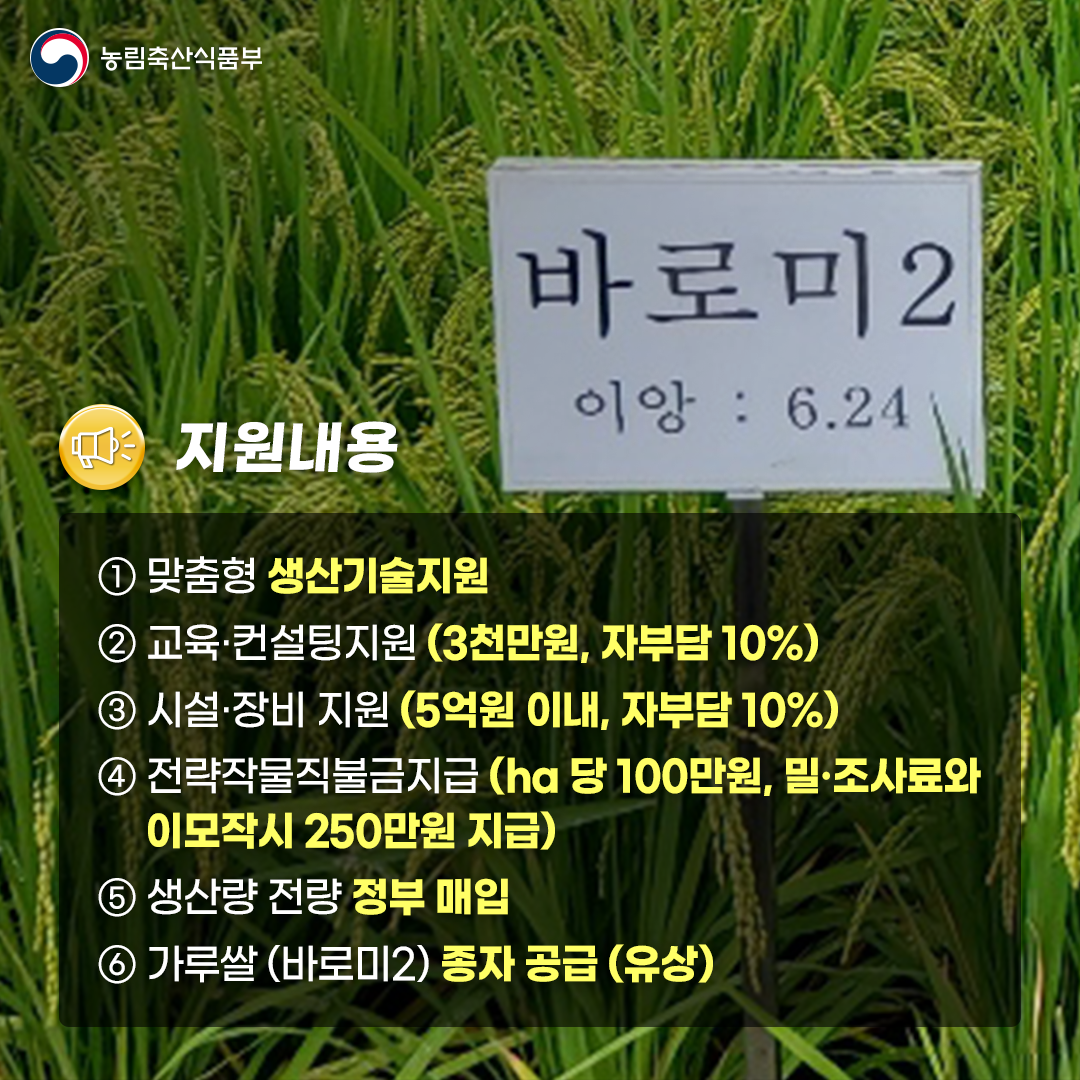  농림축산식품부 따 지원내용 바로미 2 이앙: 6.24 1 맞춤형 생산기술지원 2 교육·컨설팅지원 (3천만원, 자부담 10%) 3 시설·장비 지원 (5억원 이내, 자부담 10%) 4 전략작물직불금지급 (ha당 100만원, 밀조사료와 이모작시 250만원 지급) 5 생산량 전량 정부 매입 6가루쌀 (바로미2) 종자 공급 (유상)