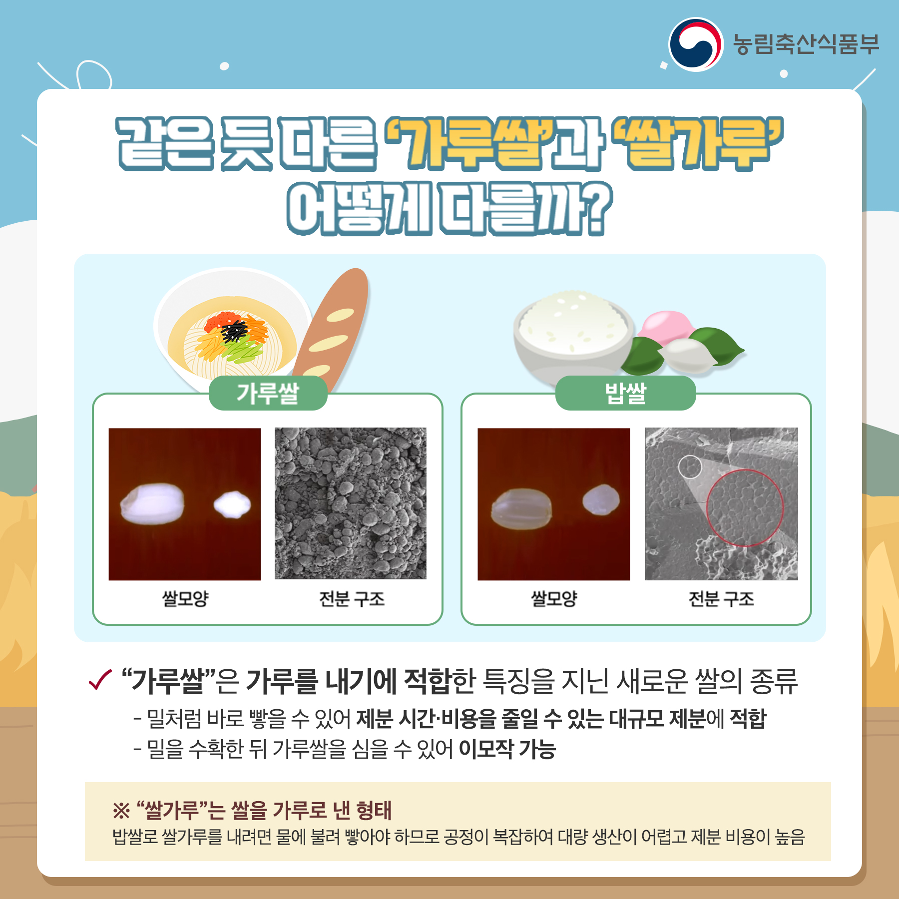 같은 듯 다른 가루쌀과 쌀가루, 어떻게 다를까? 가루쌀은 가루를 내기에 적합한 특징을 지닌 새로운 쌀의 종류, 밀처럼 바로 빻을 수 있어 제분 시간, 비용을 줄일 수 잇는 대규모 제분에 적합. 밀을 수확한 뒤 가루쌀을 심을 수 있어 이모작 가능. 쌀가루는 쌀을 가루로 낸 형태. 밥쌀로 쌀가루를 내려면 물에 불려 빻아야 하므로 공정이 복잡하여 대량 생산이 어렵고 제분 비용이 높음