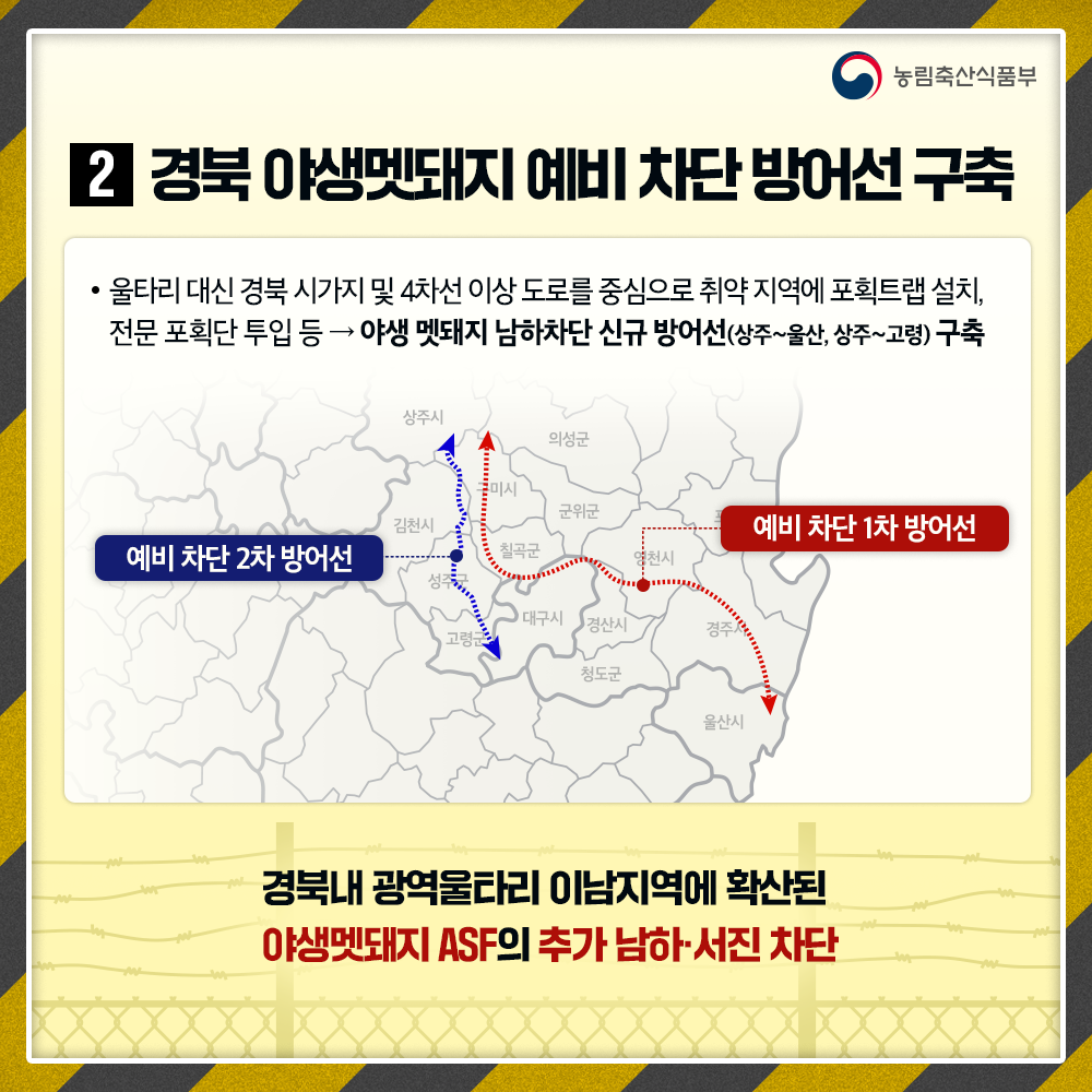 농림축산식품부 2 경북 야생멧돼지 예비차단방어선 구축 울타리 대신 경북시가지 및 4차선 이상 도로를 중심으로 취약지역에 포획트랩 설치, 전문 포획단 투입 등 야생 멧돼지 남하차단 신규 방어선(상주~울산, 상주~고령) 구축 예비차단 1차 방어선 예비차단 2차 방어선 경북내 광역울타리 이남지역에 확산된 야생멧돼지 ASF의 추가 남하서진 차단