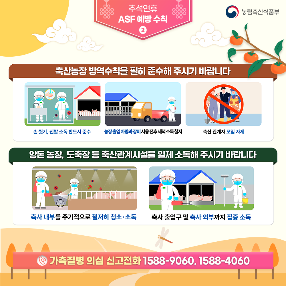 추석연휴 농림축산식품부 ASF 예방 수칙 축산농장 방역수칙을 필히 준수해 주시기 바랍니다 손 씻기, 신발 소독 반드시 준수 농장출입차량과장비사용전후세척소독철저 축산관계자 모임 자제 양돈농장, 도축장 등 축산관계시설을 일제 소독해 주시기 바랍니다 축사 내부를 주기적으로 철저히 청소 소독 축사 출입구 및 축사 외부까지 집중 소독 가축질병 의심 신고전화 1588-9060, 1588-4060