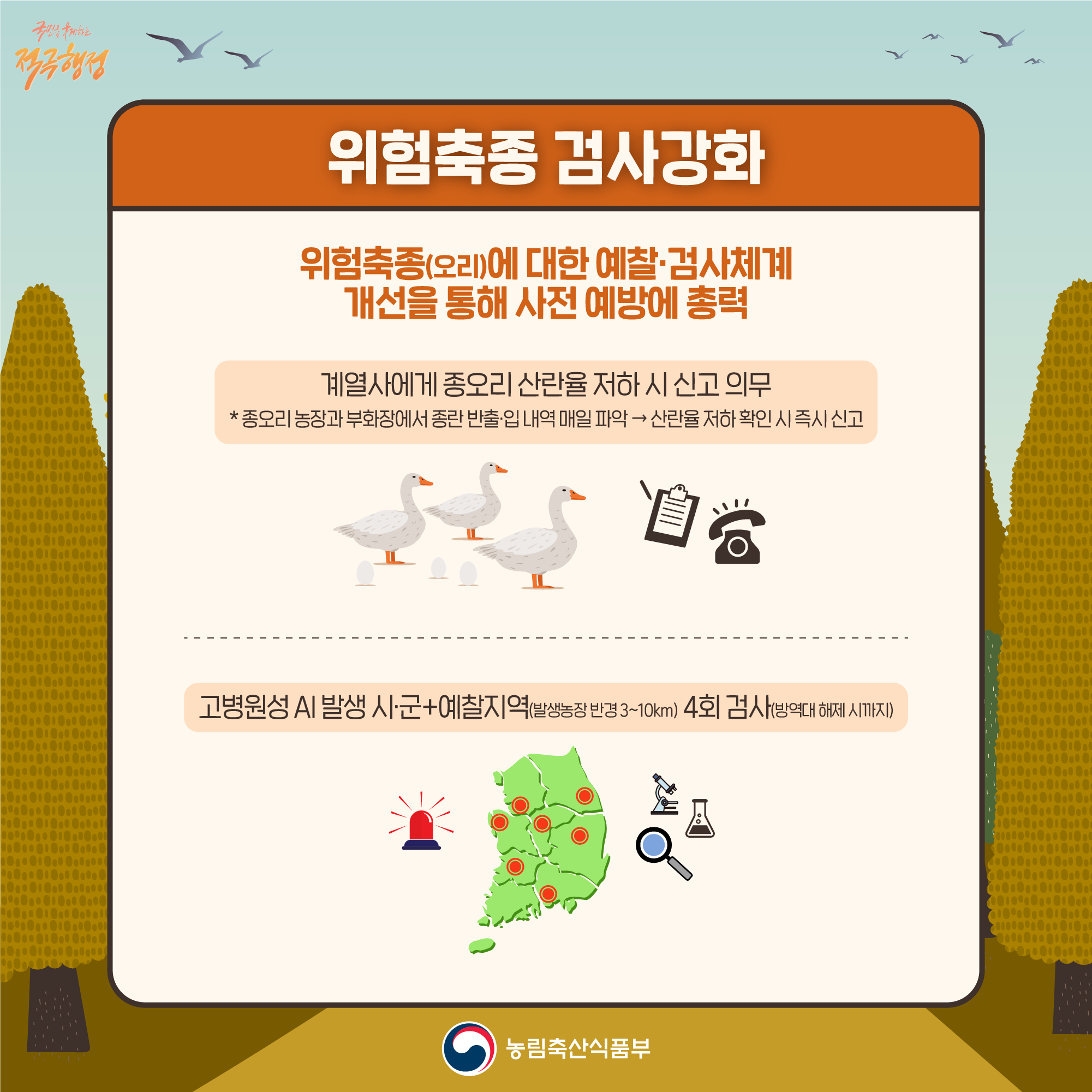 국민을 구제하는 적극행정 위험축종 검사강화 위험축종(오리)에 대한 예찰·검사체계 개선을 통해 사전 예방에 총력 계열사에게 종오리 산란율 저하시 신고 의무 종오리 농장과 부화장에서 종란 반출입 내역 매일 파악 산란율 저하 확인 시 즉시 신고 고병원성 AI 발생 시·군+예찰지역(발생농장 반경 3~10km) 4회 검사(방역대 해제 시까지) 농림축산식품부