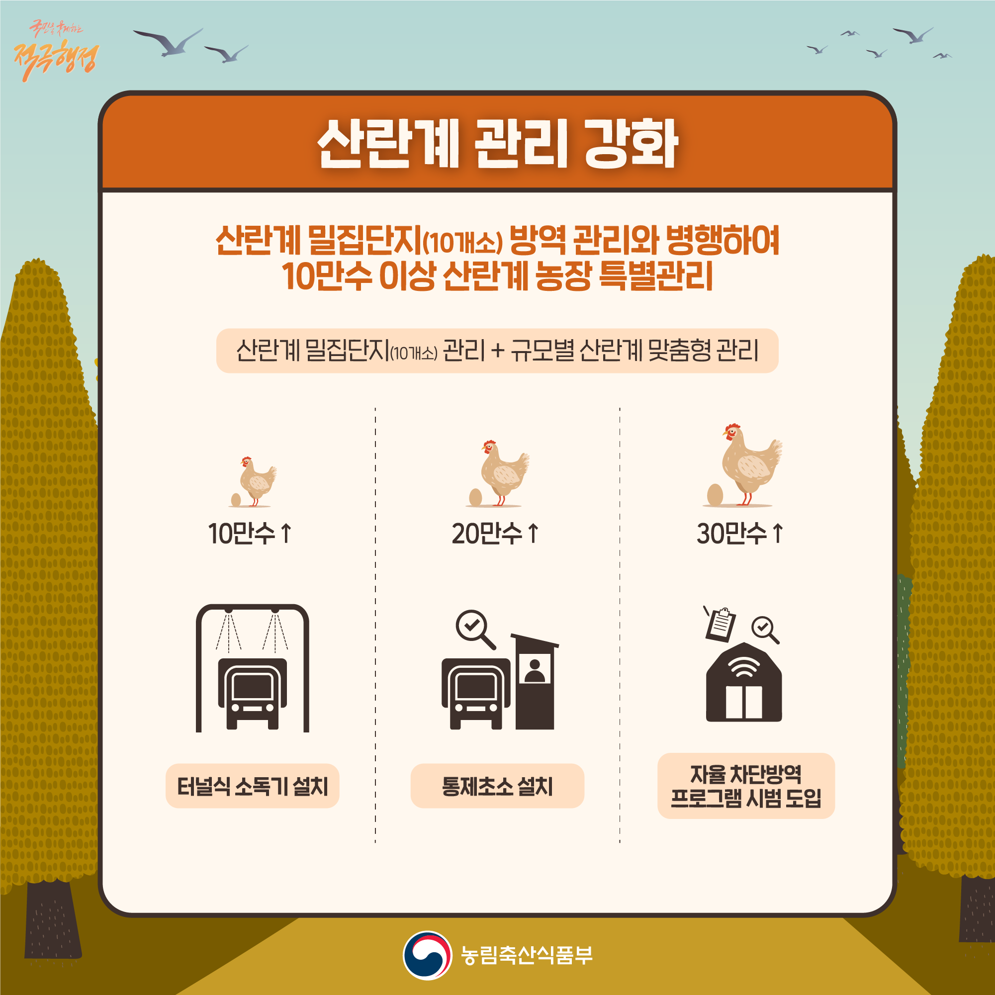 국민을 구제하는 적극행정 산란계 관리 강화 산란계 밀집단지(10개소) 방역 관리와 병행하여 10만수 이상 산란계 농장 특별관리 산란계 밀집단지(10개소) 관리 + 규모별 산란계 맞춤형 관리 10만수 이상일시 터널식 소독기 설치 20만수 이상일시 통제초소 설치 30만수 이상일시 자율차단방역 프로그램 시범 도입 농림축산식품부