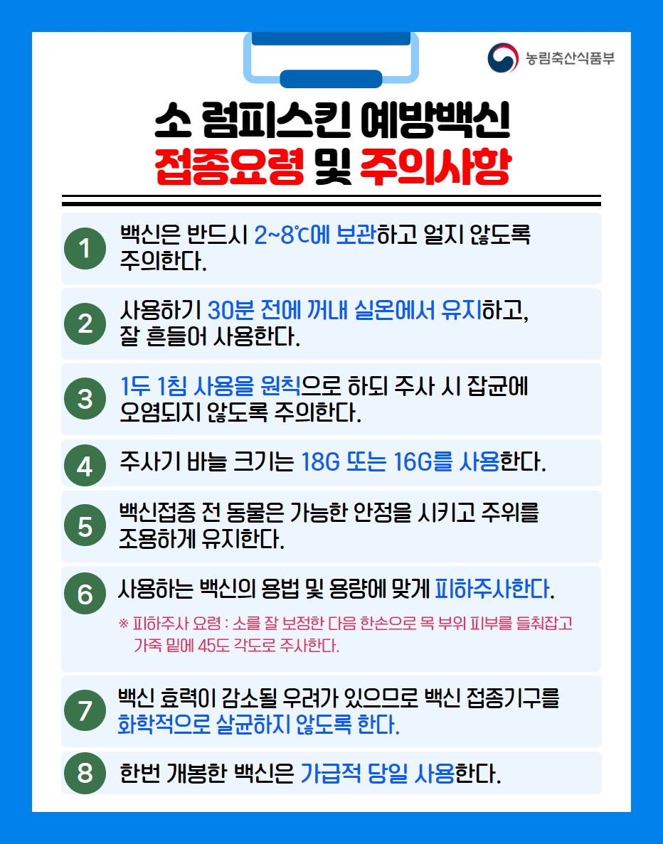 농림축산식품부 소럼피스킨 예방백신 접종요령 및 주의사항 1 백신은 반드시 2~8°C에 보관하고 얼지않도록 주의한다. 2 사용하기 30분 전에 꺼내 실온에서 유지하고, 잘 흔들어 사용한다. 3 1두 1침 사용을 원칙으로 하되 주사시 잡균에 오염되지 않도록 주의한다. 4. 주사기 바늘 크기는 18G 또는 16G를 사용한다. 백신접종 전 동물은 가능한 안정을 시키고 주위를 5 '조용하게 유지한다. ᄋ 사용하는 백신의 용법 및 용량에 맞게 피하주사한다. ※ 피하주사 요령 : 소를 잘 보정한 다음 한손으로 목 부위 피부를 들춰잡고 가죽 밑에 45도 각도로 주사한다. 7 백신 효력이 감소될 우려가 있으므로 백신 접종기구를 '화학적으로 살균하지 않도록 한다. 8 한번 개봉한 백신은 가급적 당일 사용한다.