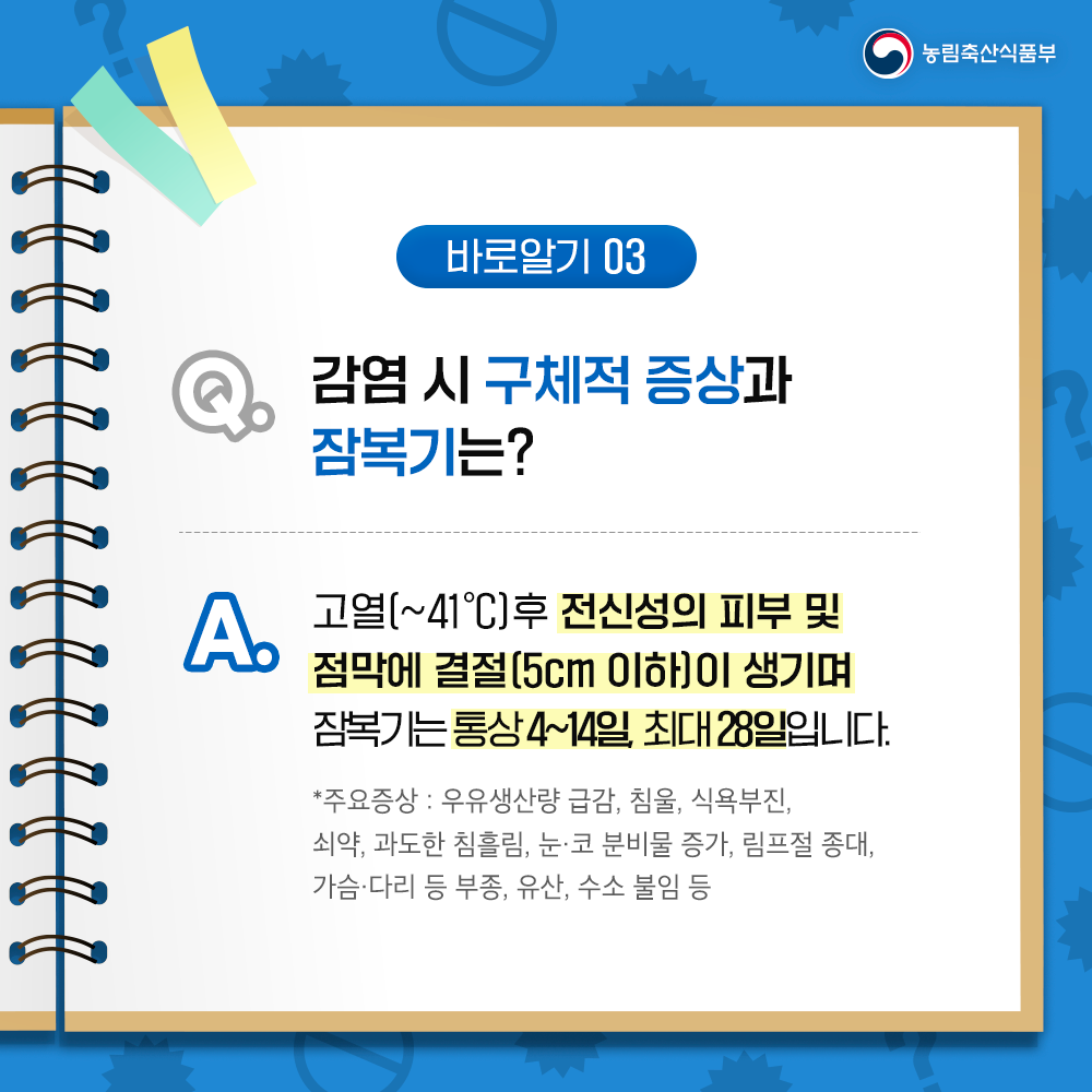 농림축산식품부 바로알기 03 감염 시 구체적 증상과 잠복기는? A. 고열~41°C]후 전신성의 피부 및 점막에 결절(5cm 이하)이 생기며 잠복기는 통상4~14일, 최대28일입니다. *주요증상 : 우유생산량 급감, 침울, 식욕부진, 쇠약, 과도한 침흘림, 눈·코 분비물 증가, 림프절 종대, 가슴·다리 등 부종, 유산, 수소 불임 등