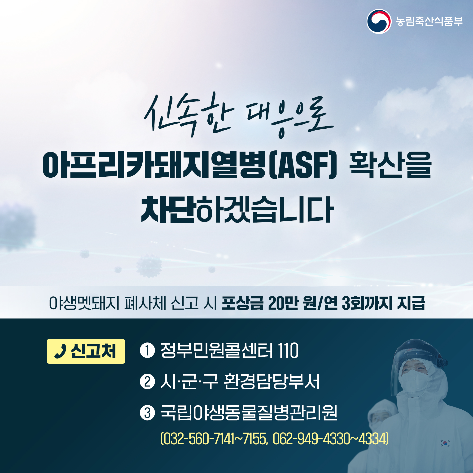 농림축산식품부 신속한 대응으로 아프리카돼지열병(ASF) 확산을 차단하겠습니다 야생멧돼지 폐사체 신고 시 포상금 20만원/연 3회까지 지급 신고처 1 정부민원콜센터 110 2 시·군·구 환경담당부서 3 국립야생동물질병관리원 (032-560-7141~7155, 062-949-4330~4334)
