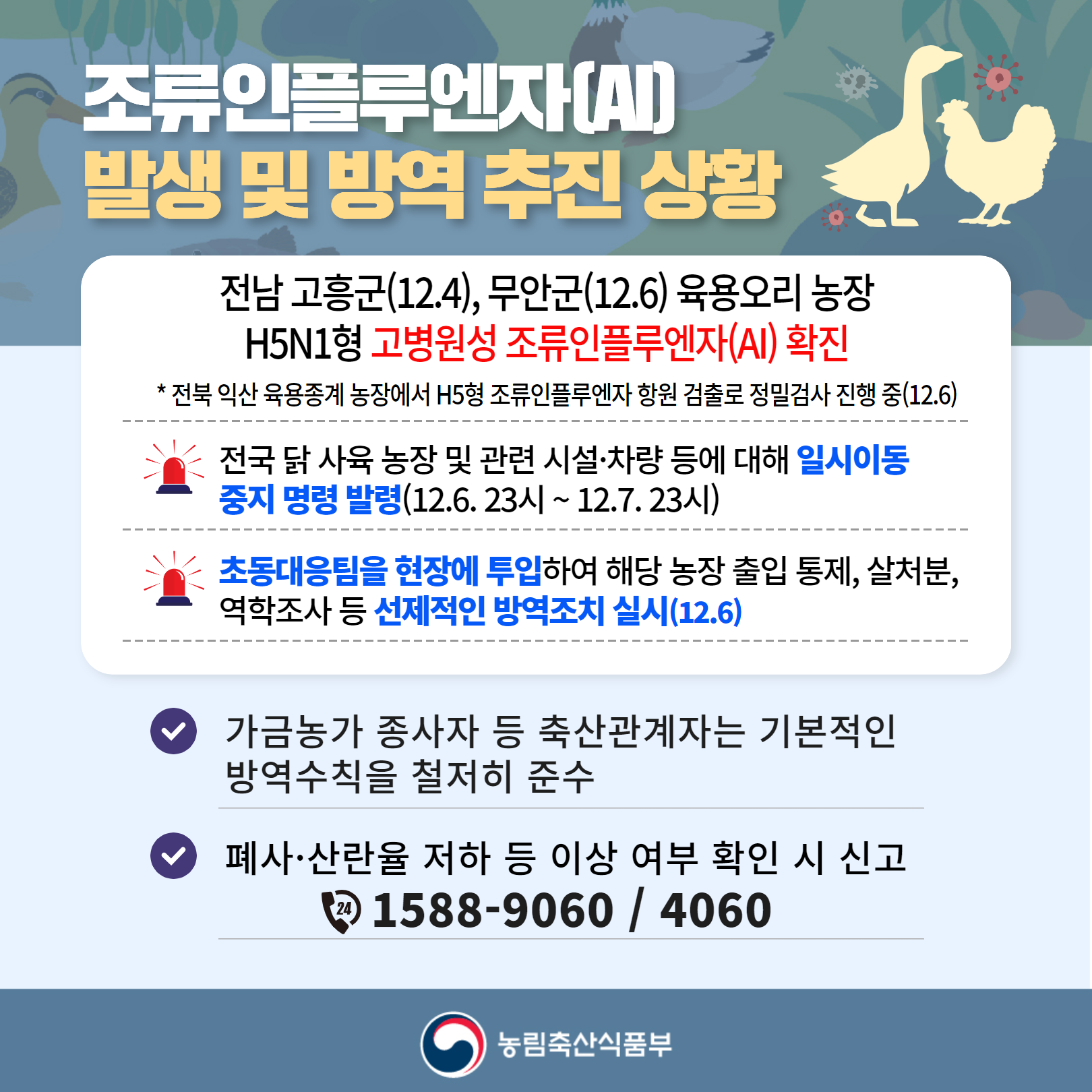 조류인플루엔자(AI) 발생 및 방역 추진 상황 전남 고흥군(12.4), 무안군(12.6) 육용오리 농장 H5N1형 고병원성 조류인플루엔자(AI) 확진 * 전북 익산 육용종계 농장에서 H5형 조류인플루엔자 항원 검출로 정밀검사 진행 중(12.6) 전국 닭 사육 농장 및 관련 시설·차량 등에 대해 일시이동 중지 명령 발령(12.6. 23시 ~ 12.7.23시) 초동대응팀을 현장에 투입하여 해당 농장 출입 통제, 살처분, 역학조사 등 선제적인 방역조치 실시(12.6) 가금농가 종사자 등 축산관계자는 기본적인 방역수칙을 철저히 준수 폐사·산란율 저하 등 이상 여부 확인 시 신고 21588-9060 / 4060 농림축산식품부