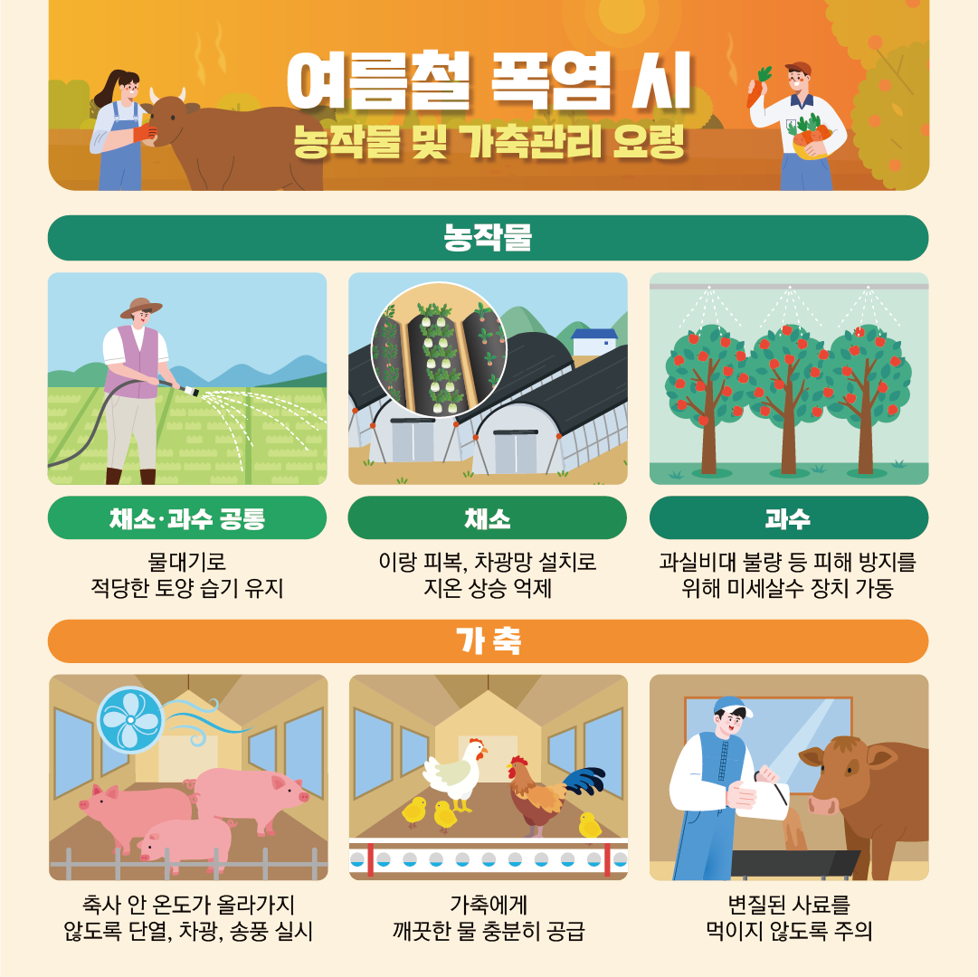 여름철 폭염 시 농작물 및 가축관리 요령  농작물  - 채소, 과수 공통 : 물대기로 적당한 토양 습기 유지  - 채소 : 이랑 피복, 차광망 설치로 지온 상승 억제  - 과수 : 과실비대 불량 등 피해 방지를 위해 미세살수 장치 가동    가축  - 축사 안 온도가 올라가지 않도록 단열, 차광, 송풍 실시  - 가축에게 깨끗한 물 충분히 공급  - 변질된 사료를 먹이지 않도록 주의
