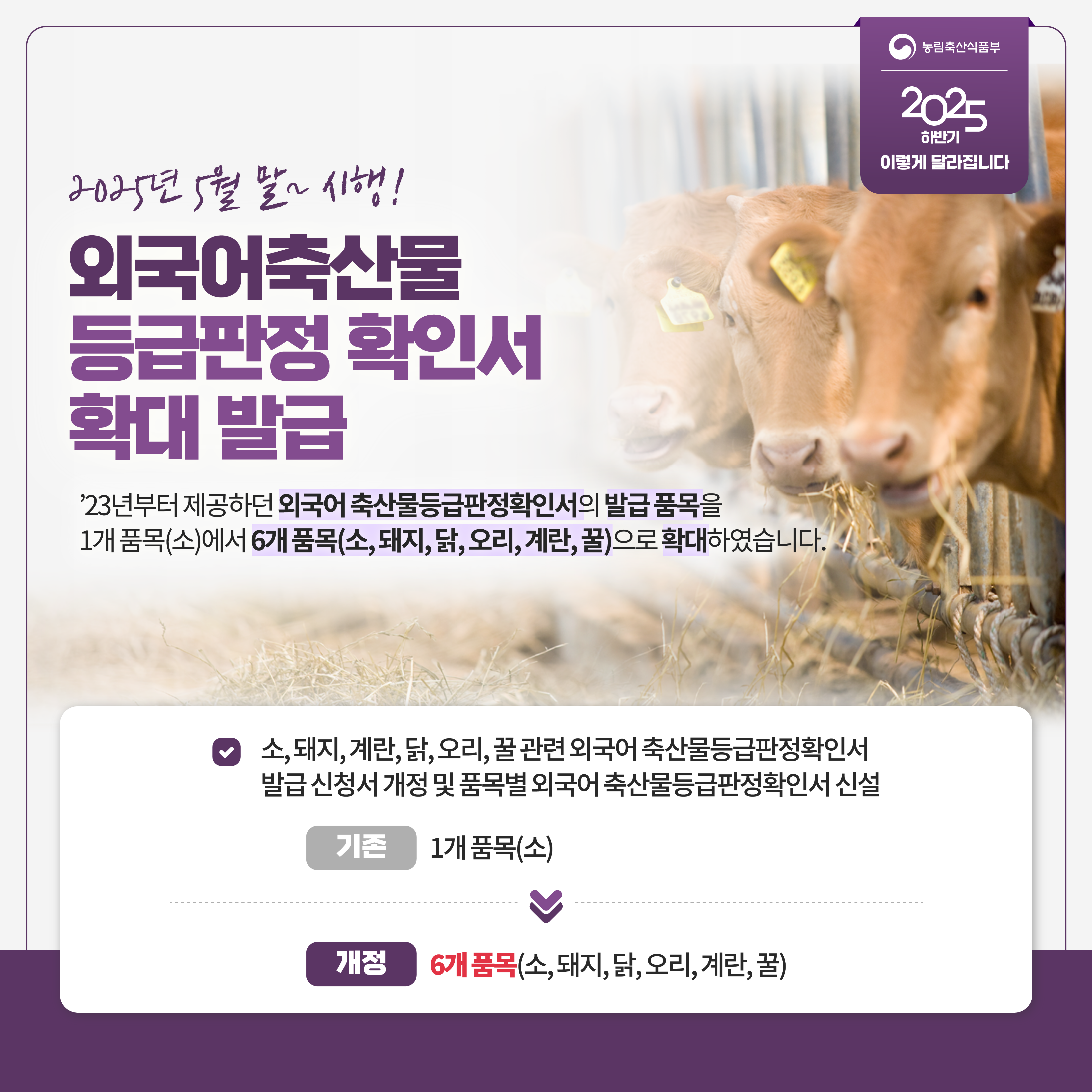 농림축산식품부 2025 하반기 이렇게 달라집니다 2025년 5월 말~ 시행! 외국어축산물 등급판정 확인서 확대 발급 '23년부터 제공하던 외국어 축산물등급판정확인서의 발급 품목을 1개 품목(소)에서 6개 품목(소,돼지,닭,오리,계란,꿀)으로 확대하였습니다. 소,돼지,계란,닭,오리,꿀 관련 외국어 축산물등급판정확인서 발급 신청서 개정 및 품목별 외국어 축산물등급판정확인서 신설 기존 1개 품목(소) 개정 6개 품목(소,돼지,닭,오리,계란,꿀)