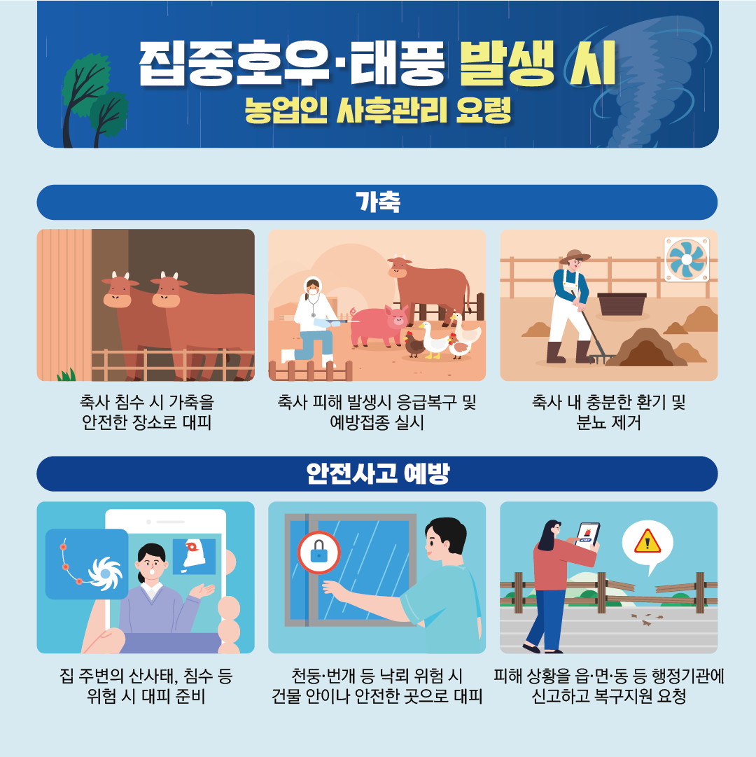 집중호우, 태풍 발생 시 농업인 사후관리 요령,   가축 : 축사 침수 시 가축을 안전한 장소로 대피, 축사 피해 발생시 응급복구 및 예방접종 실시, 축사 내 충분한 환기 및 분뇨 제거  안전사고 예방 : 집 주변의 산사태, 침수 등 위험 시 대피 준비, 천둥, 번개 등 낙뢰 위험 시 건물 안이나 안전한 곳으로 대피, 피해상황을 읍, 면, 동 등 행정기관에 신고하고 복구 지원 요청