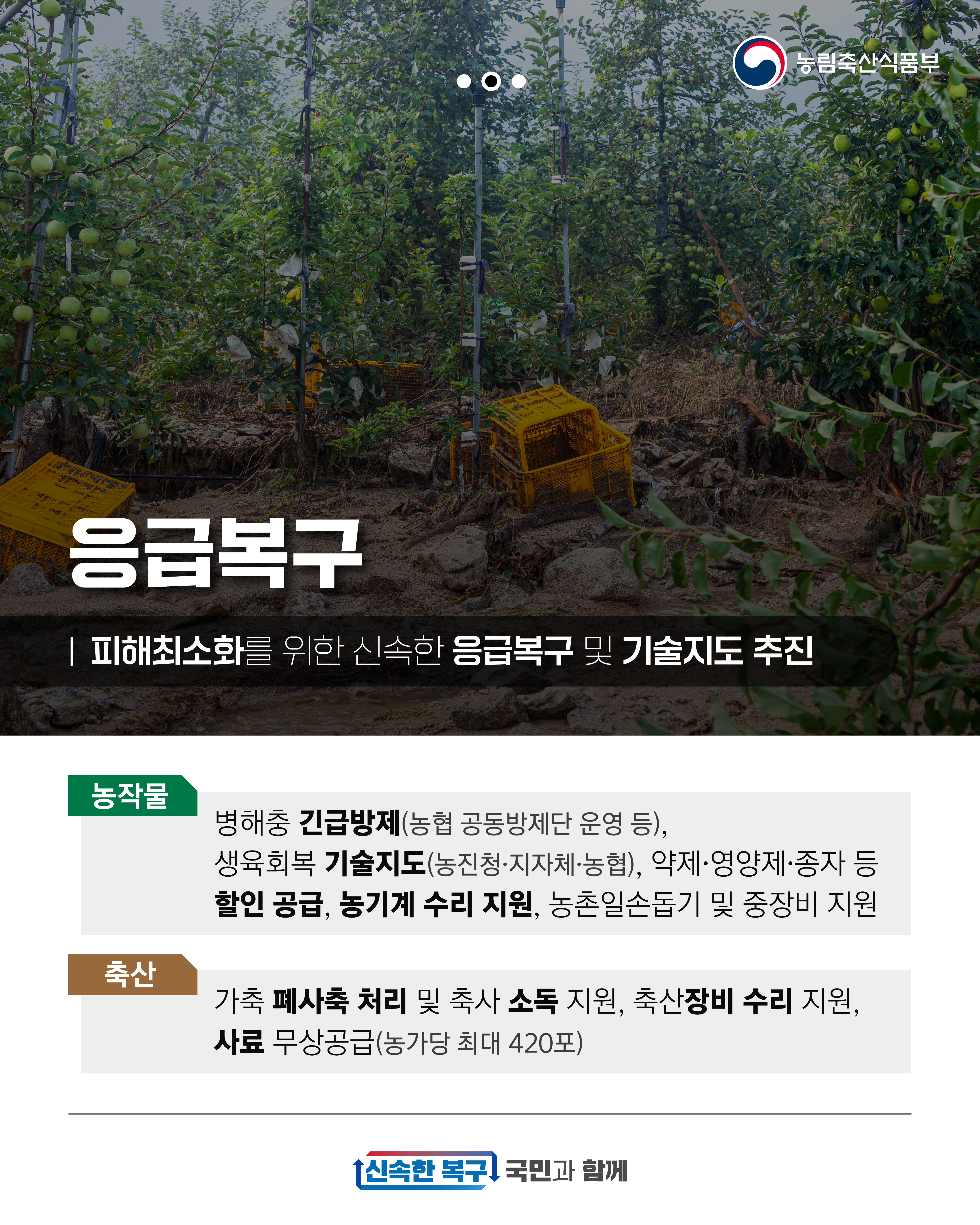 농림축산식품부 응급복구 피해최소화를 위한 신속한 응급복구 및 기술지도 추진 농작물 - 병해충 긴급방제(농협 공동방제단 운영 등), 생육 회복 기술지도(농진청림축산식품부 응급복구 피해최소화를 위한 신속한 응급복구 및 기술지도 추진 농작물 - 병해충 긴급방제(농협 공동방제단 운영 등), 생육 회복 기술지도(농진청·지자체·농협), 약제·영양제·종자 등 할인 공급, 농기계 수리 지원, 농촌일손돕기 및 중장비 지원 축산 - 가축 폐사축 처리 및 축사 소독 지원, 축산장비 수리 지원, 사료 무상공급(농가당 최대 420포) 신속한 복구 국민과 함께
